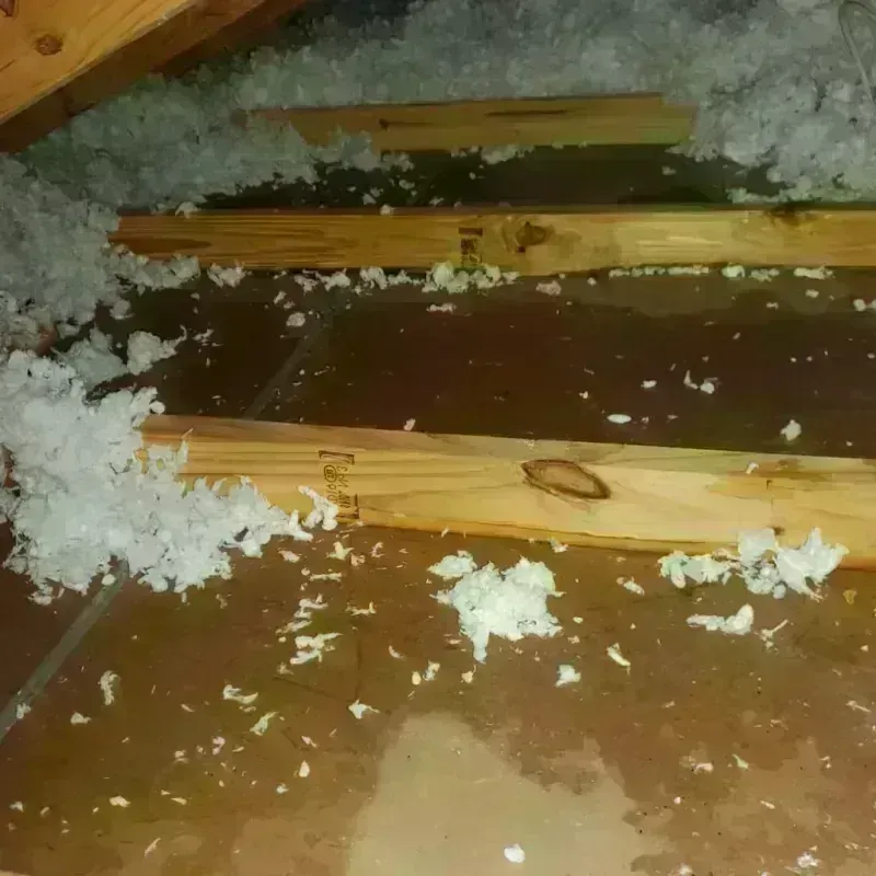 Attic Water Damage in Upshur County, WV